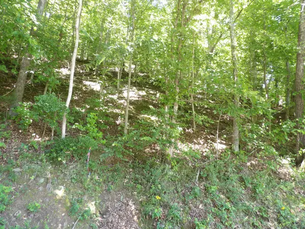 587 W Little Richland Rd, Waverly, TN 37185