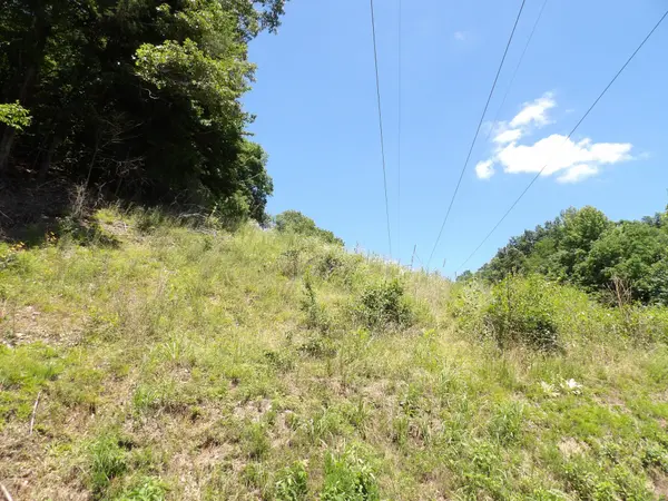587 W Little Richland Rd, Waverly, TN 37185