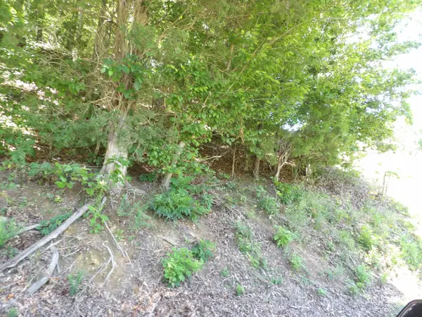 587 W Little Richland Rd, Waverly, TN 37185