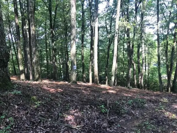 1 Piney Knob Drive, Spring City, TN 37381