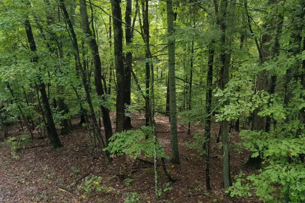 0 Fawnwood, Spring City, TN 37381