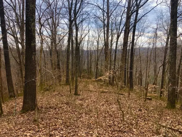 0 Simpkins Rd, Whites Creek, TN 37189