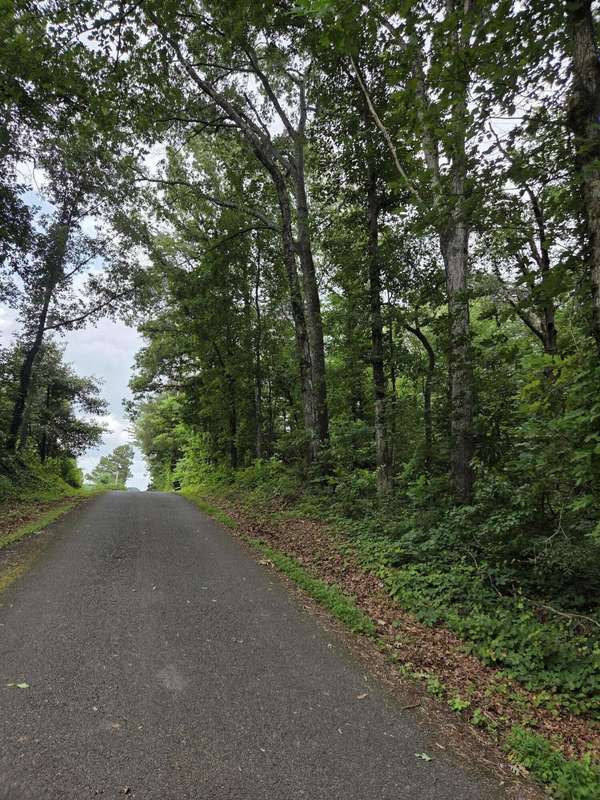 0 Co Rd 156, Riceville, TN 37370