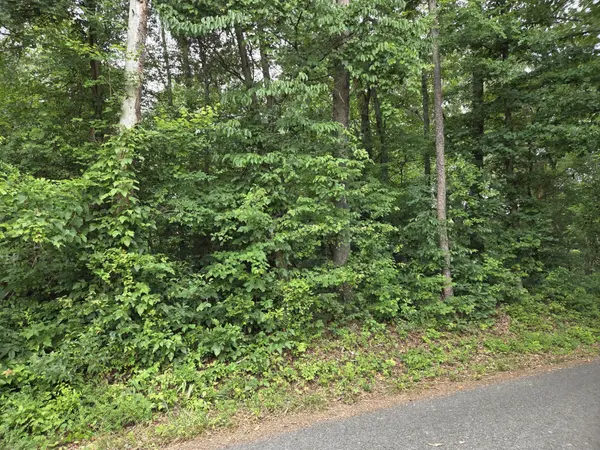 0 Co Rd 156, Riceville, TN 37370