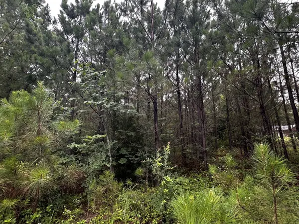 0 Hwy 120, Big Rock, TN 37023