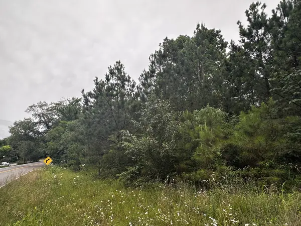 0 Hwy 120, Big Rock, TN 37023