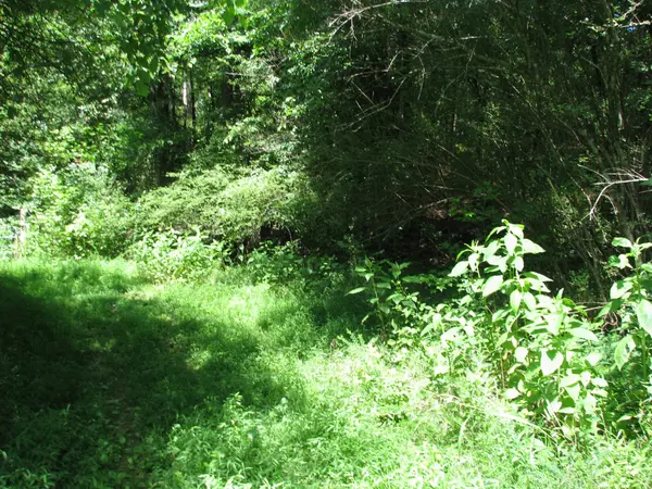 0 Matthews Hollow Rd, Waverly, TN 37185