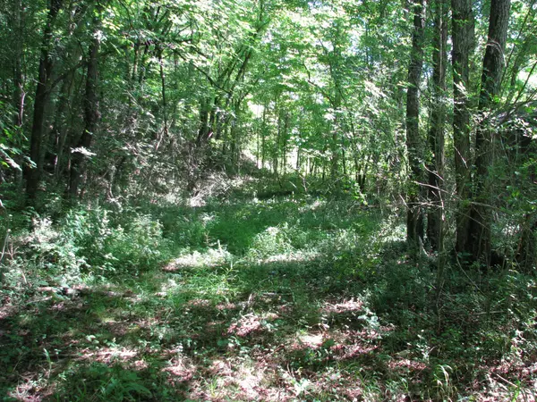 0 Matthews Hollow Rd, Waverly, TN 37185