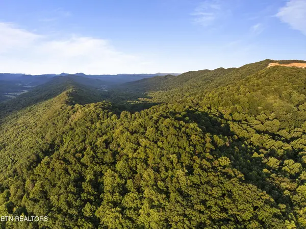 0 Spruce Pine Rd, Mooresburg, TN 37811