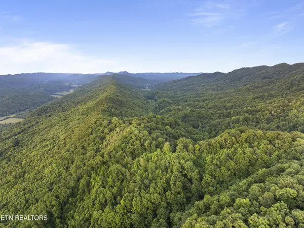 0 Spruce Pine Rd, Mooresburg, TN 37811