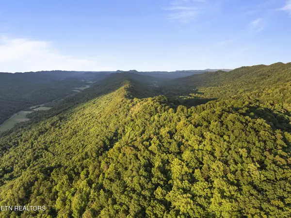 0 Spruce Pine Rd, Mooresburg, TN 37811