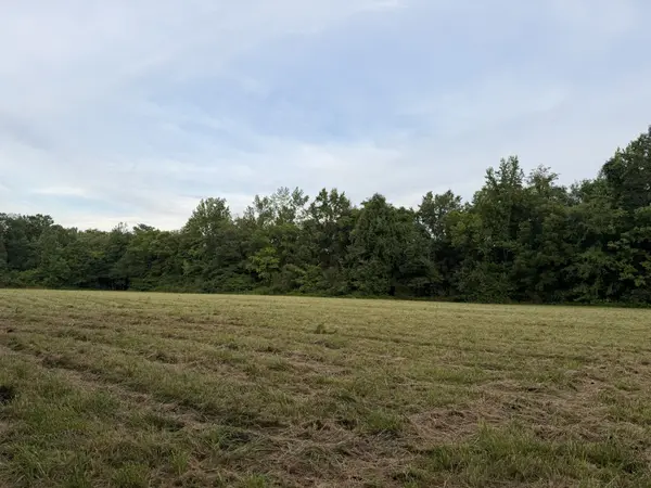 0 Dry Branch Rd, Holladay, TN 38341