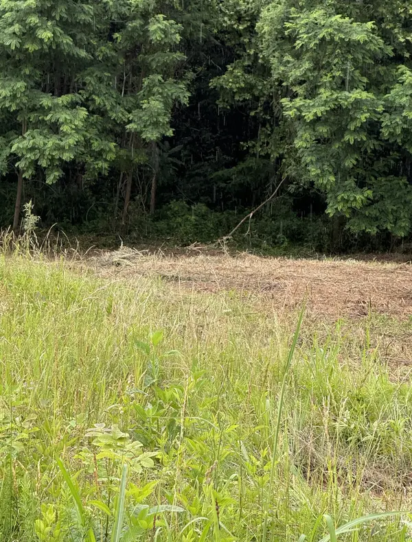 0 Mallard Rd, Hilham, TN 38568