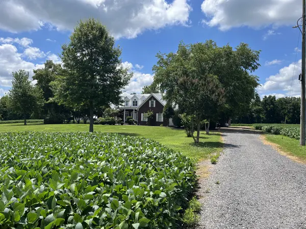 3501 W Highway 21, Hornbeak, TN 38232
