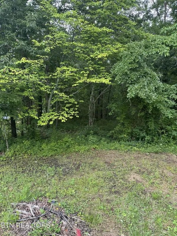 0 Timothy Drive, Crossville, TN 38572