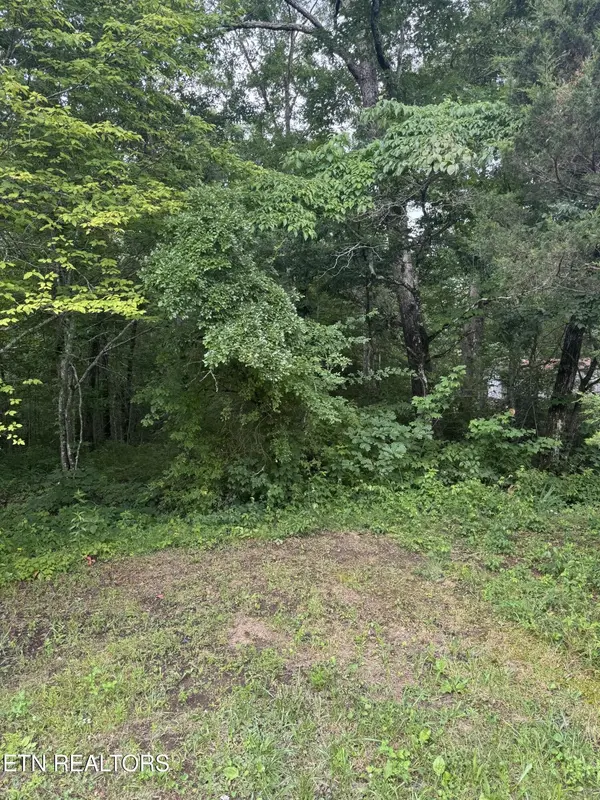 0 Timothy Drive, Crossville, TN 38572