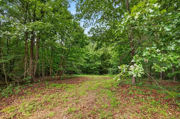 0 Homestead Court, Dover, TN 37058