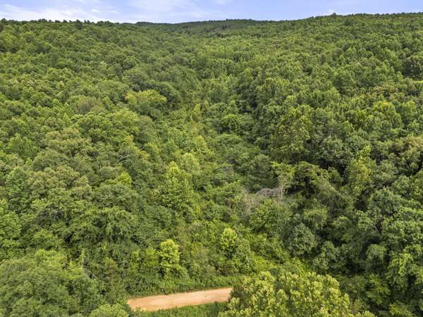 0 Rockhouse Rd, Linden, TN 37096