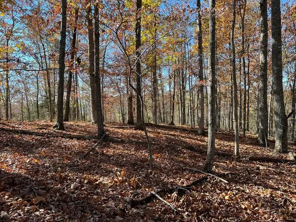 0 Old Hwy 53, Celina, TN 38551