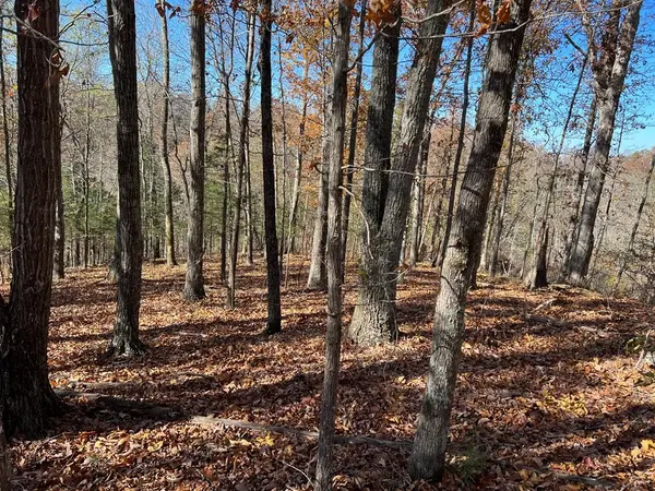 0 Old Hwy 53, Celina, TN 38551