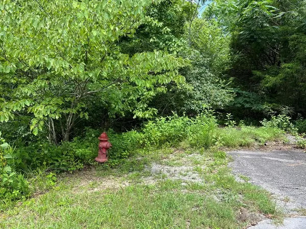 0 Old Hwy 53, Celina, TN 38551