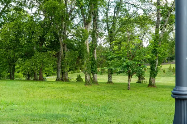 9237 Nina Ct, Brentwood, TN 37027