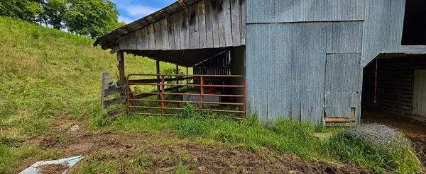 2039 Blackburn Hollow Rd, Cornersville, TN 37047