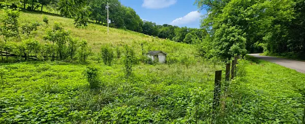 2039 Blackburn Hollow Rd, Cornersville, TN 37047