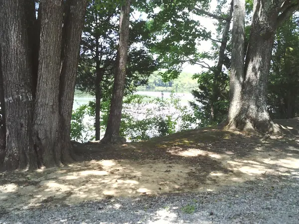 0 Hargis Rd, Bumpus Mills, TN 37028
