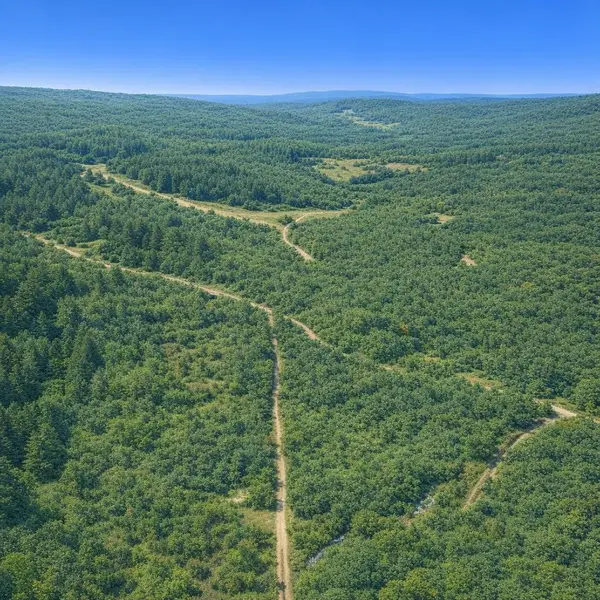 0 Arl Bailey Road, Finger, TN 38334
