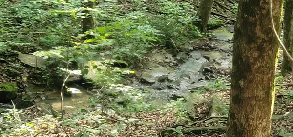 1250 Yellow Flats Rd, Spencer, TN 38585