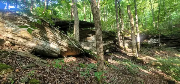 1250 Yellow Flats Rd, Spencer, TN 38585