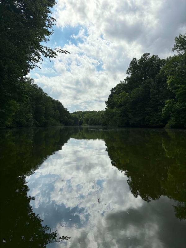 1625 Honey Ln, Estill Springs, TN 37330