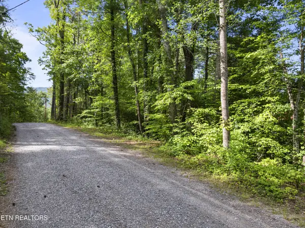 0 Grouse Top Rd, Walland, TN 37886