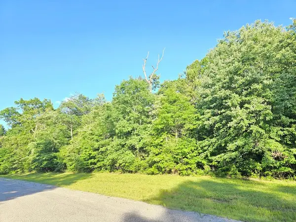 0 Laurel Loop #N, Monterey, TN 38574
