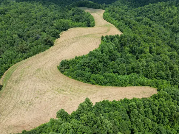3225 S Grundy Quarles Hwy, Gainesboro, TN 38562
