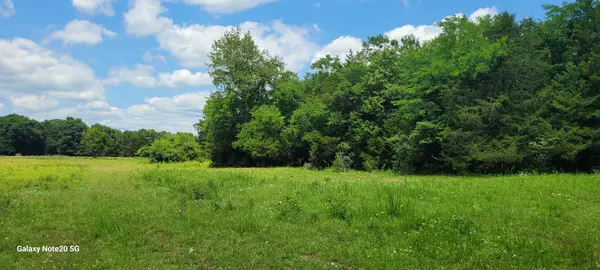 1 Clem Creek Rd, Chapel Hill, TN 37034