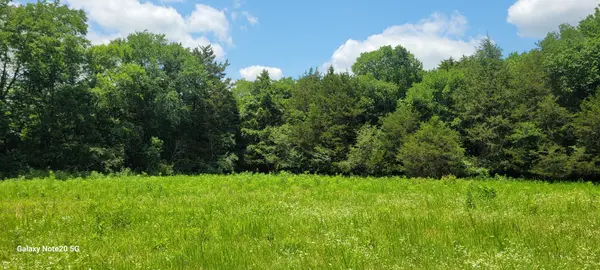 1 Clem Creek Rd, Chapel Hill, TN 37034