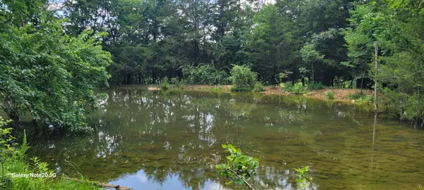 1 Clem Creek Rd, Chapel Hill, TN 37034