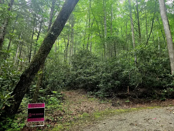 0 Holder Cemetery Road, Tellico Plains, TN 37385