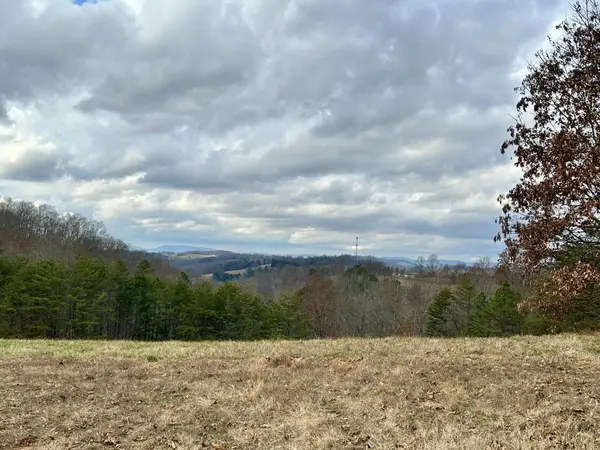 0 Topaz Lane, New Tazewell, TN 37825