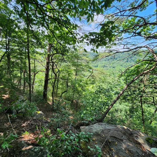 0 Eagle Point Drive, Monteagle, TN 37356