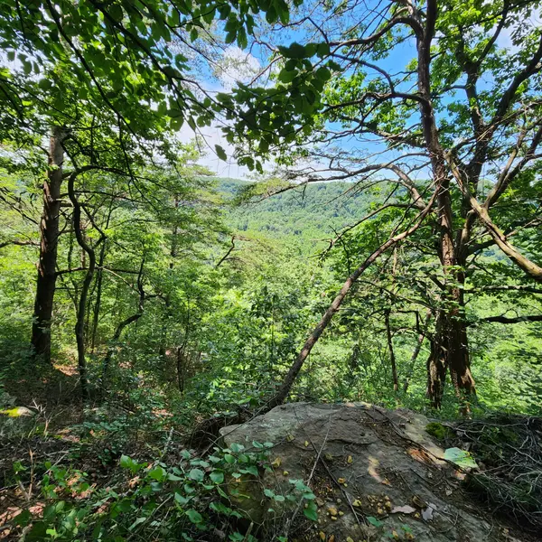0 Eagle Point Drive, Monteagle, TN 37356