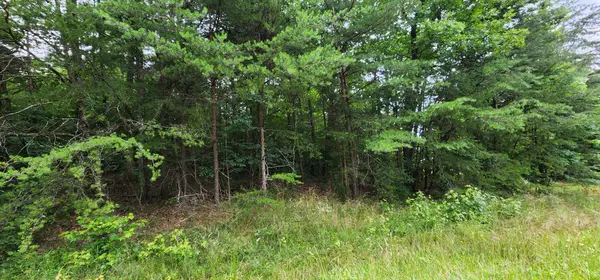 0 Sequatchie Mountain Rd, Sequatchie, TN 37374