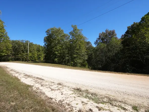 21 Three Rivers Dr, Hurricane Mills, TN 37078