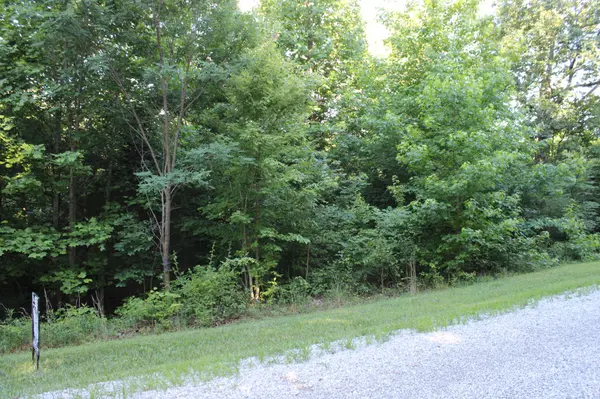 0 Bluff Line, Mc Minnville, TN 37110