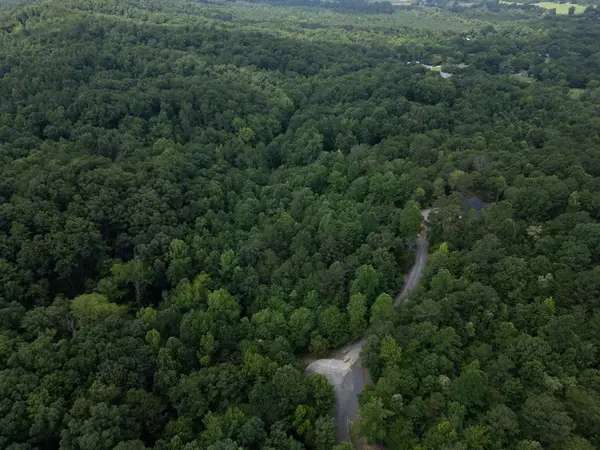 0 Dogwood Hollow, Old Fort, TN 37362
