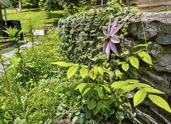 206 Gunter Ridge Rd, Pulaski, TN 38478