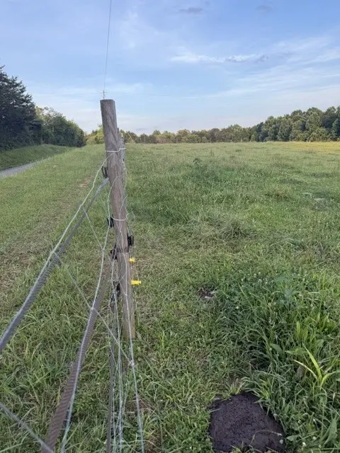 566 Locke Bend Road, Mc Minnville, TN 37110
