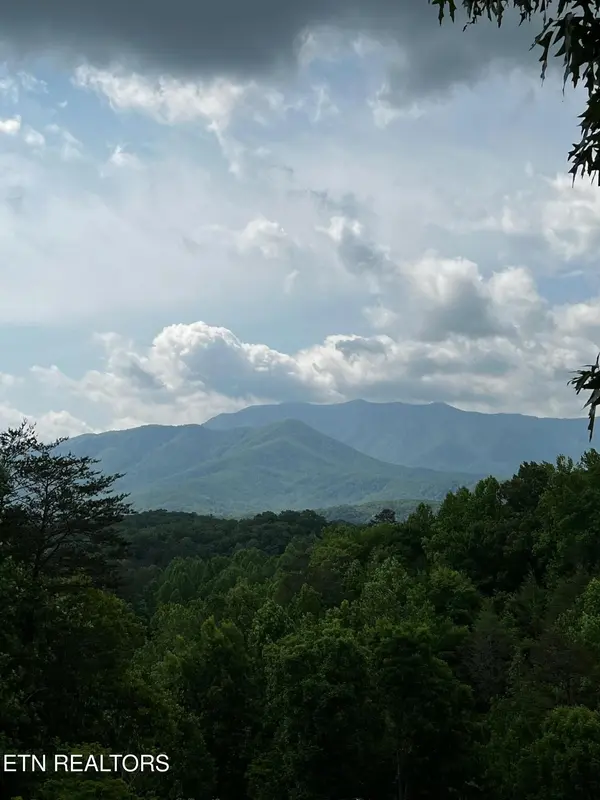 1 Vista Drive, Gatlinburg, TN 37738